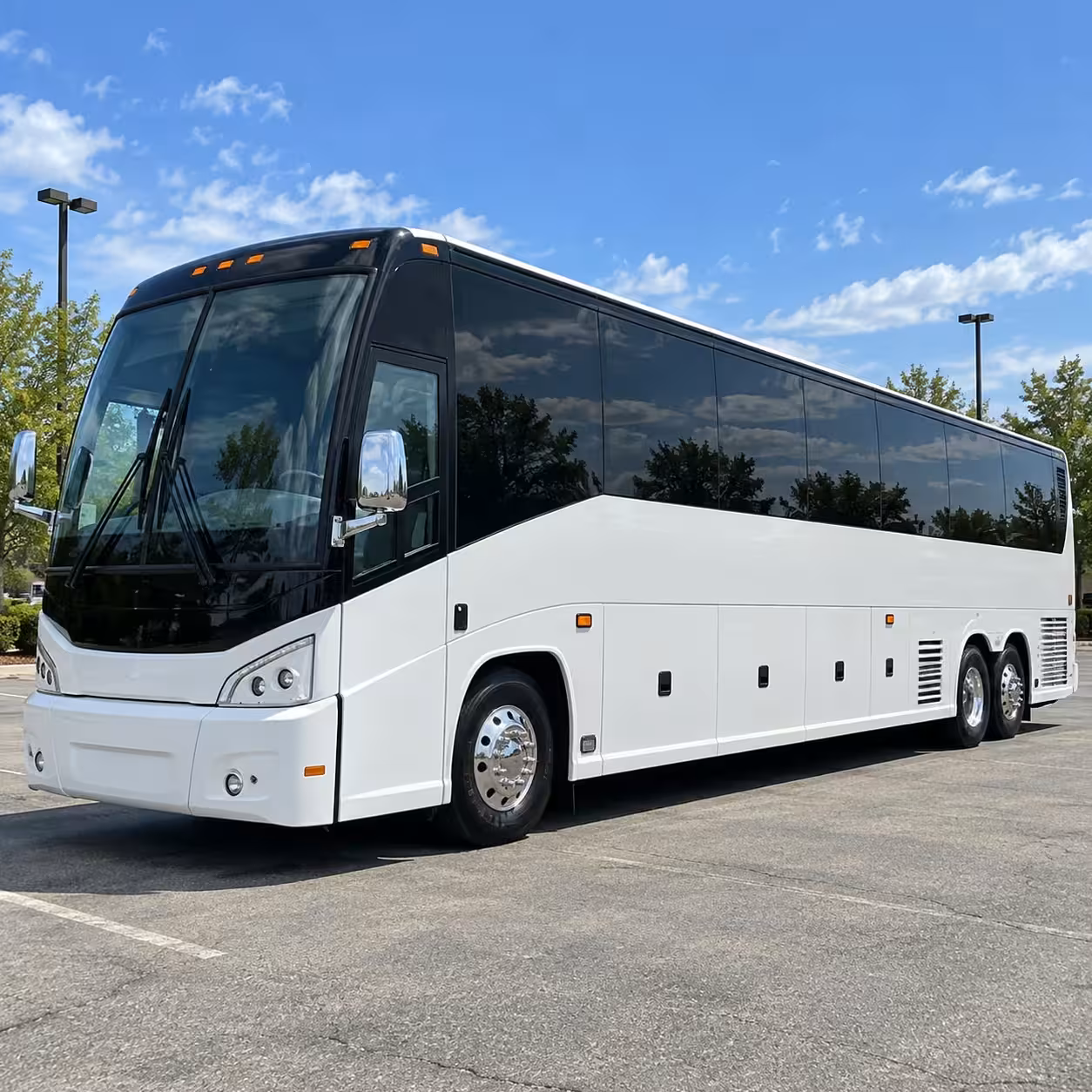 compare wedding transportation options in st paul and beyond